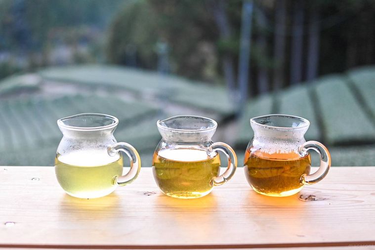 3種類のお茶が並んでいるところ
