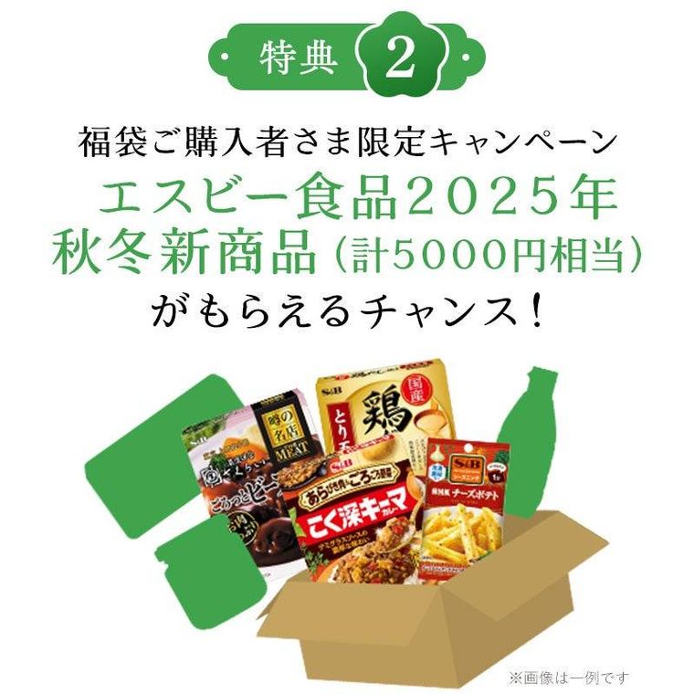 購入特典とキャンペーン情報2