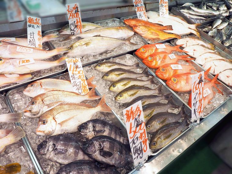 お魚のことは黄色い帽子の親切係におまかせ2