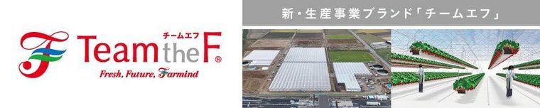 4. ファーマインドのブランドTeam the Fとは