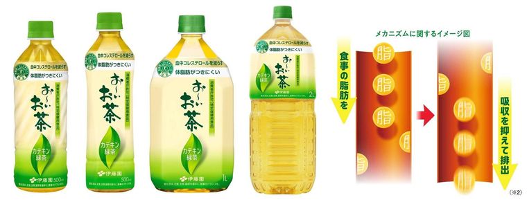 1. おいお茶 カテキン緑茶の特長とリニューアルポイント