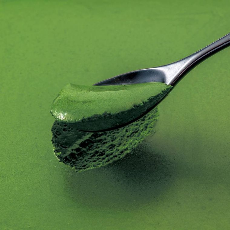 お濃茶ショコラムース