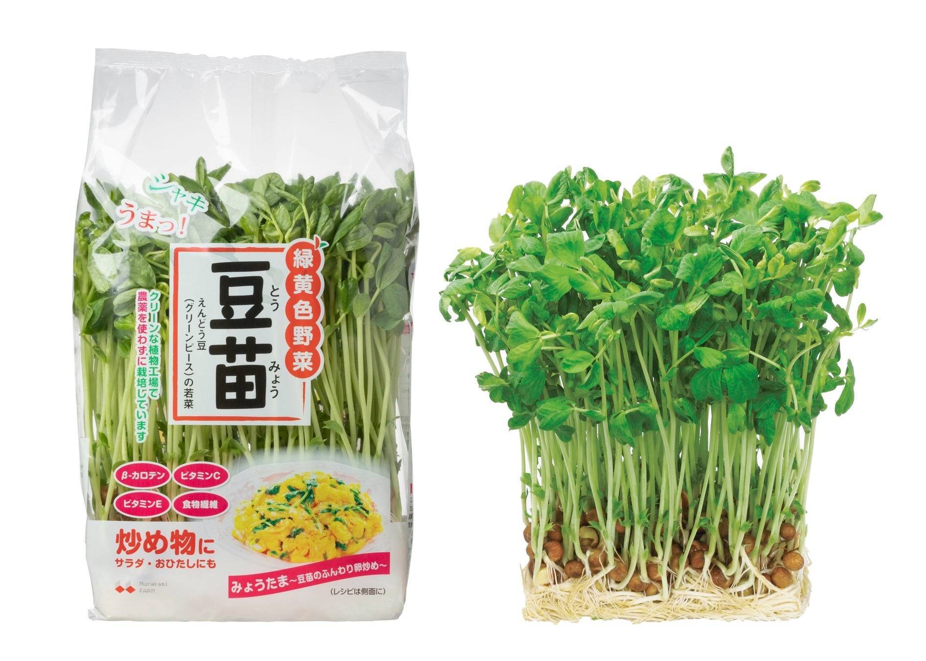 村上農園「豆苗」が発売30周年！再生栽培も楽しい“お助け野菜”の魅力