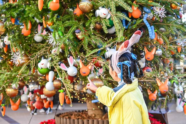 オーナメントを指さしているところ