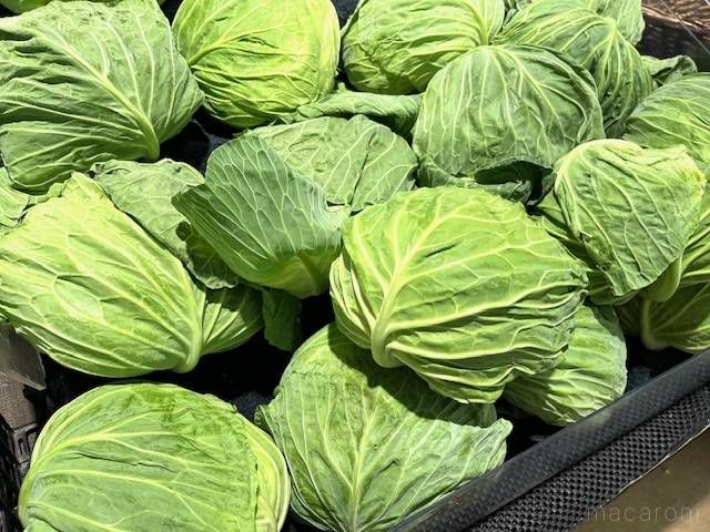 スーパーの野菜売り場に山積みにされたキャベツ