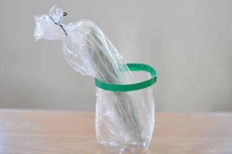 きゅうりをポリ袋に入れ、ペットボトルをカットしたものに立てたもの