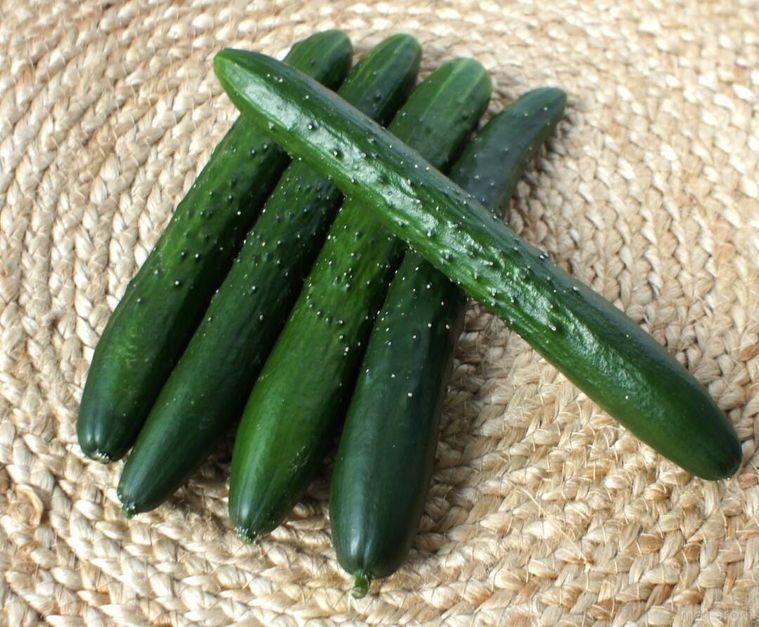並べておいてある5本のきゅうり