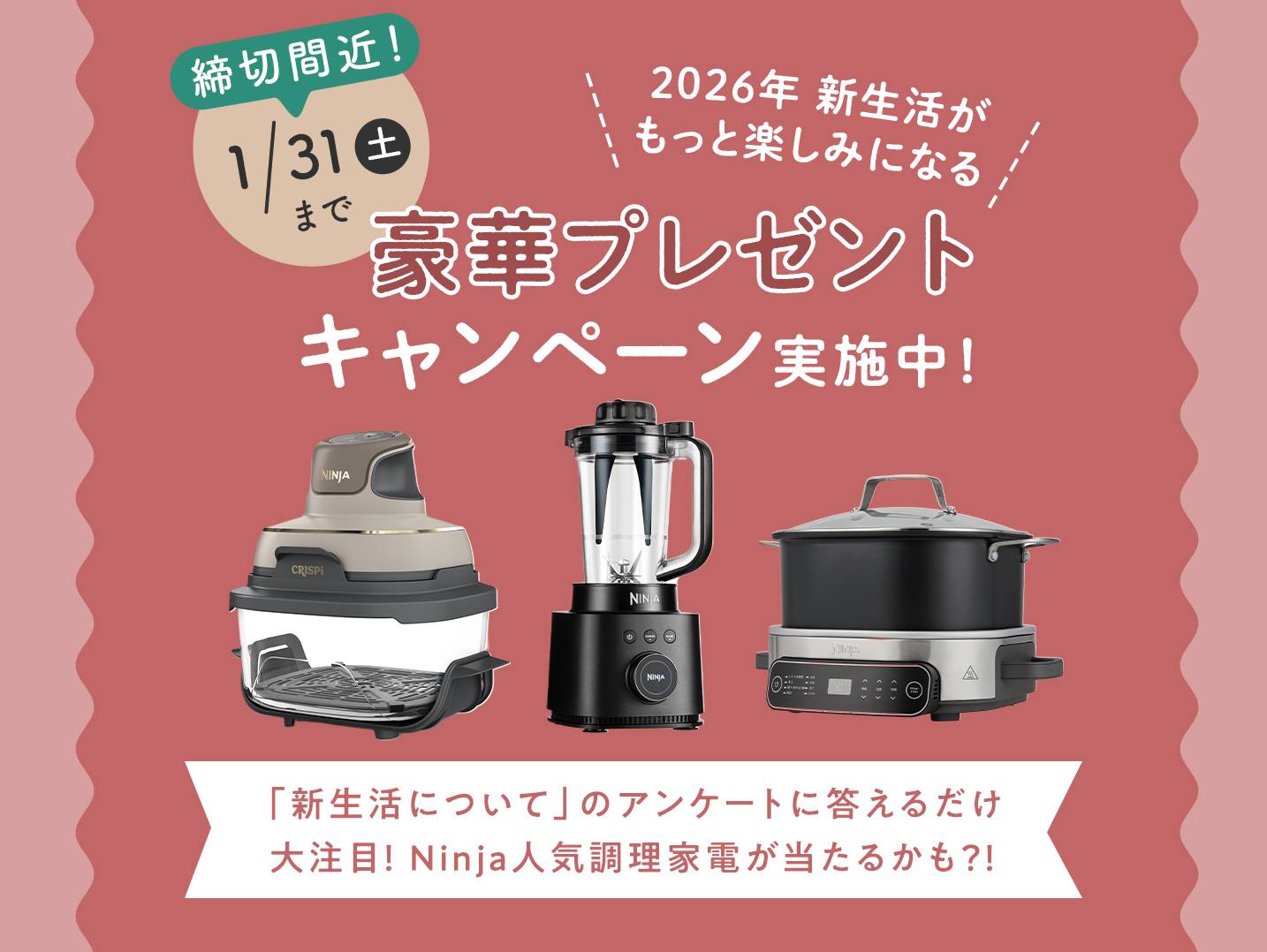 未使用 22点 調理家電 美容家電 雑貨 まとめ売り 美容家電 まとめ売り 未使用 22点 調理家電 美容家電 雑貨 まとめ売り