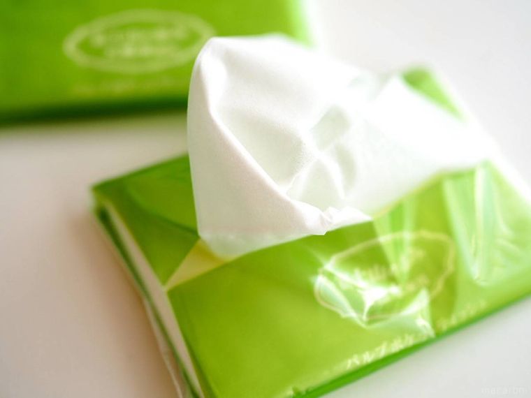 ダイソーパルプポケットティッシュの中身