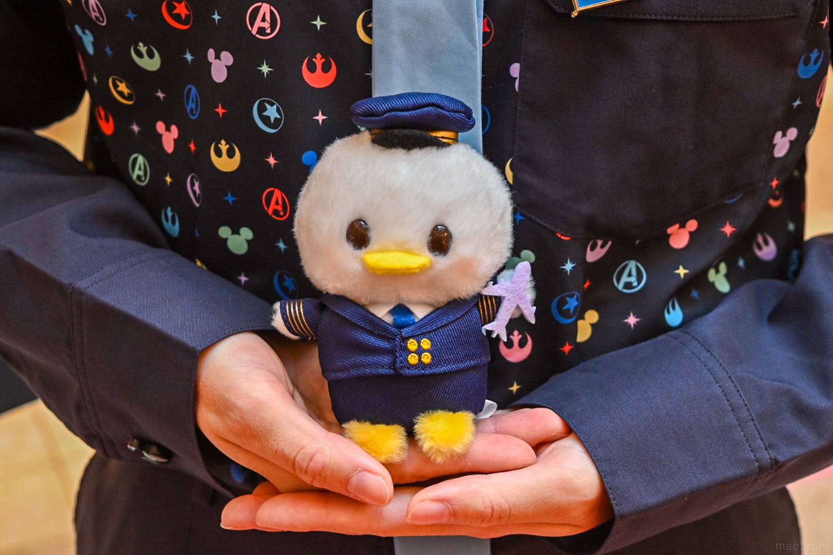 マニアが「ディズニーフラッグシップ東京ジャパンツアー」@羽田空港を