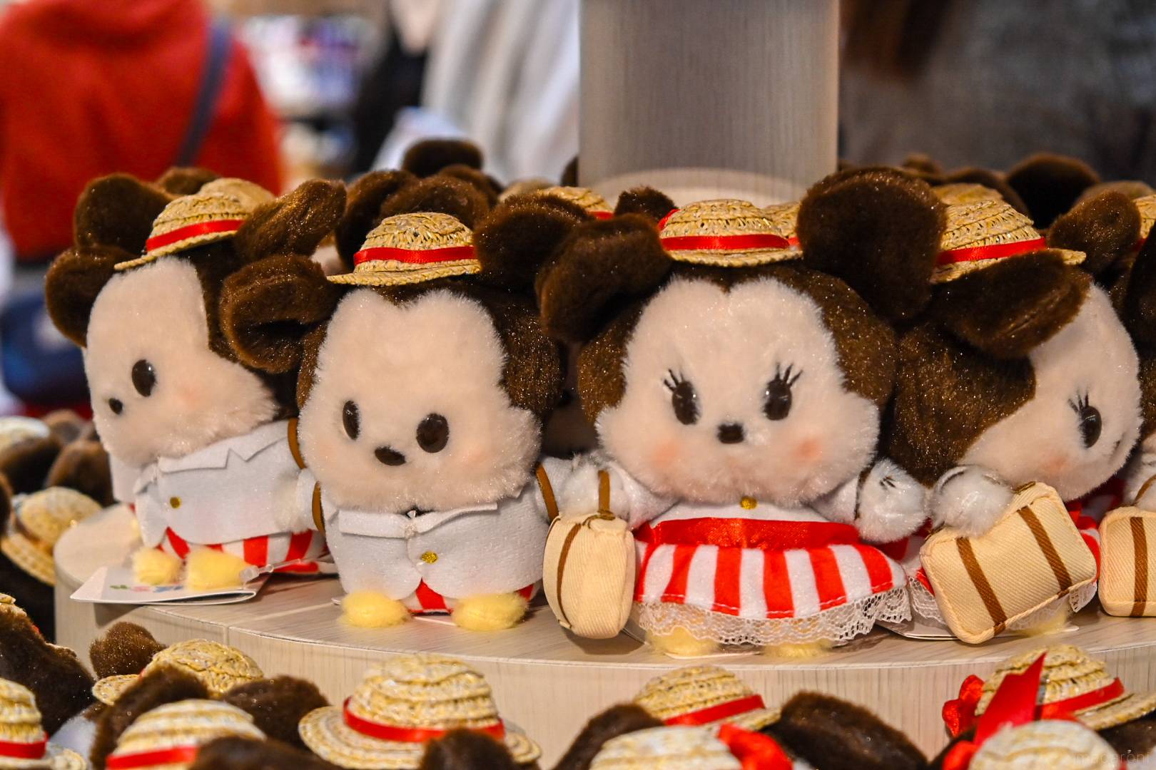 マニアが「ディズニーフラッグシップ東京ジャパンツアー」@羽田空港を