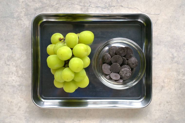 シャインマスカットとチョコレートが調理用バットに並べられている