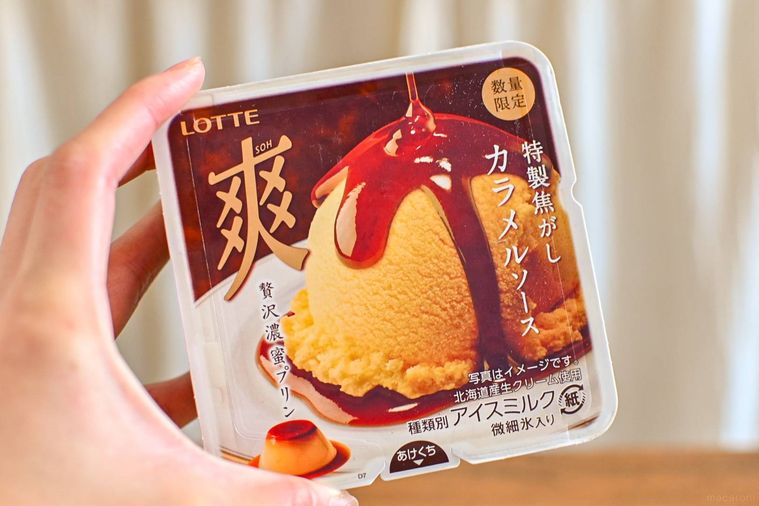 アイスのパッケージを持っているところ