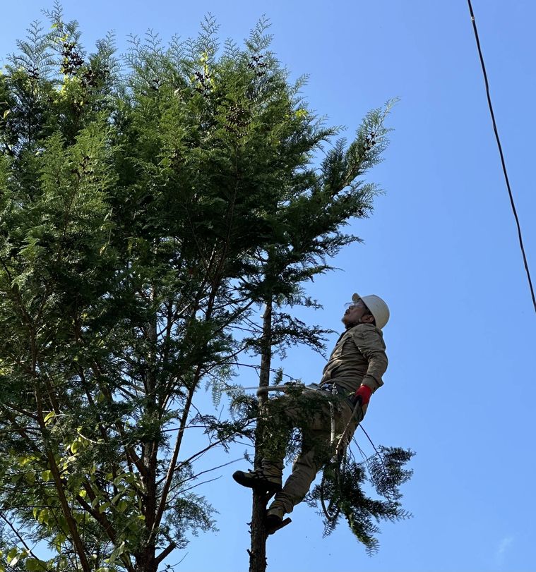 高所作業をする坂井さん