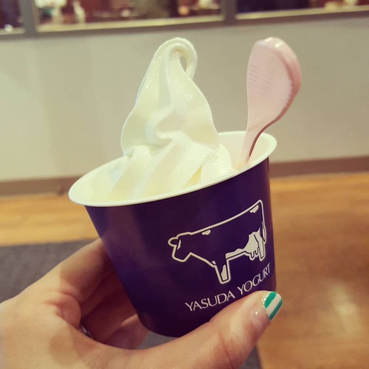安田ヨーグルトのソフトクリーム