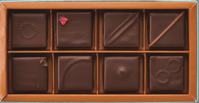 ロディックチョコレートボンボンショコラ8個りのイメージ