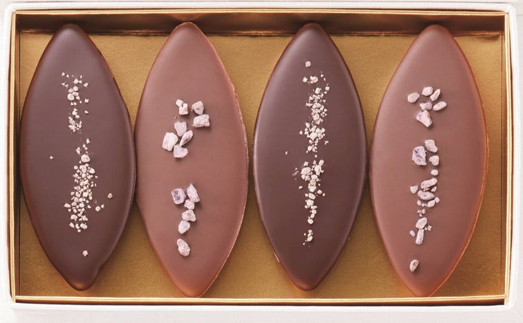 プレスキル ショコラトリーギモーブ ショコラタイベリーのイメージ