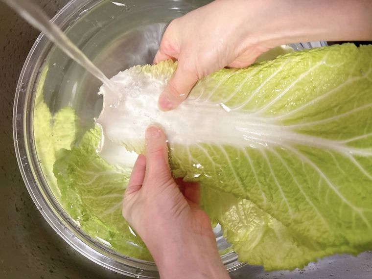白菜の外葉を洗う様子