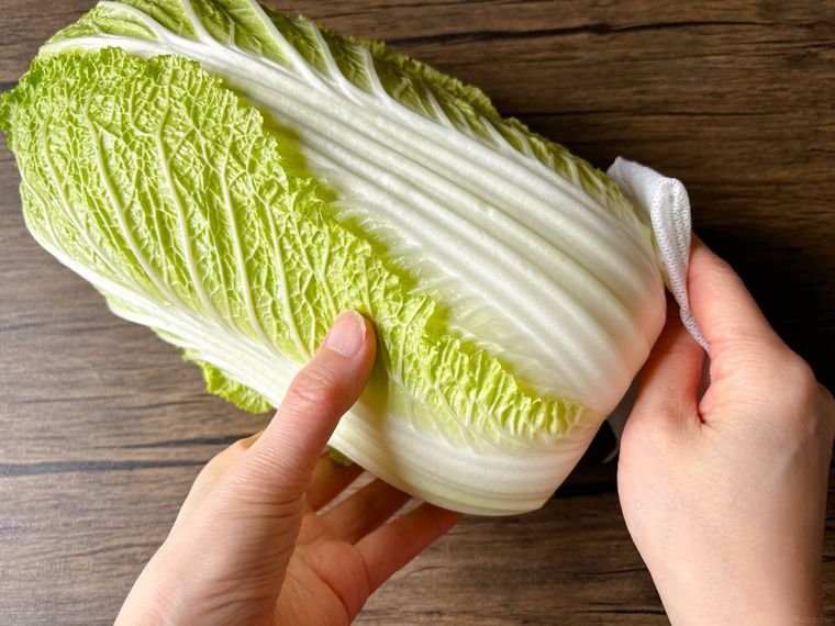 丸ごとの白菜を拭く様子
