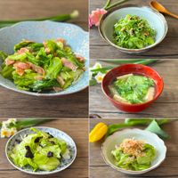 レタスの外側、捨てないで硬い葉をおいしく食べる簡単レシピ5選