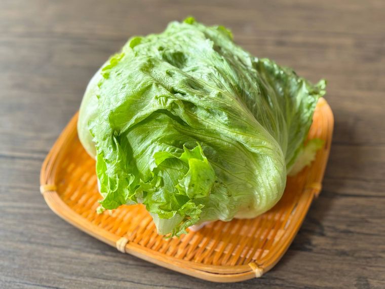 ザルにおかれた外葉が付いたレタス