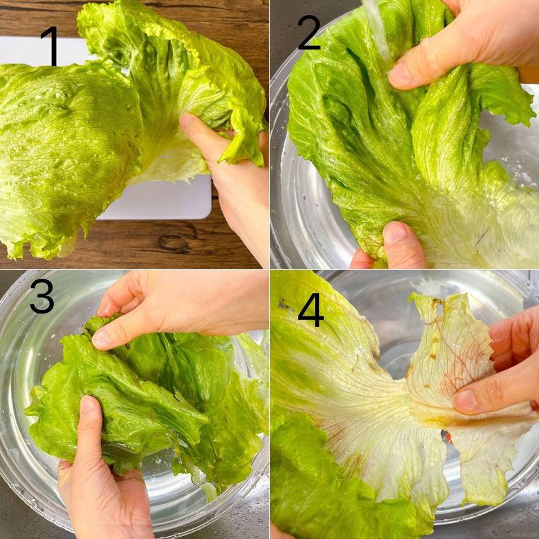 レタスの外葉を外して洗う様子