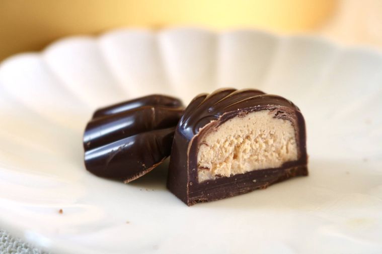 シーシェルの断面