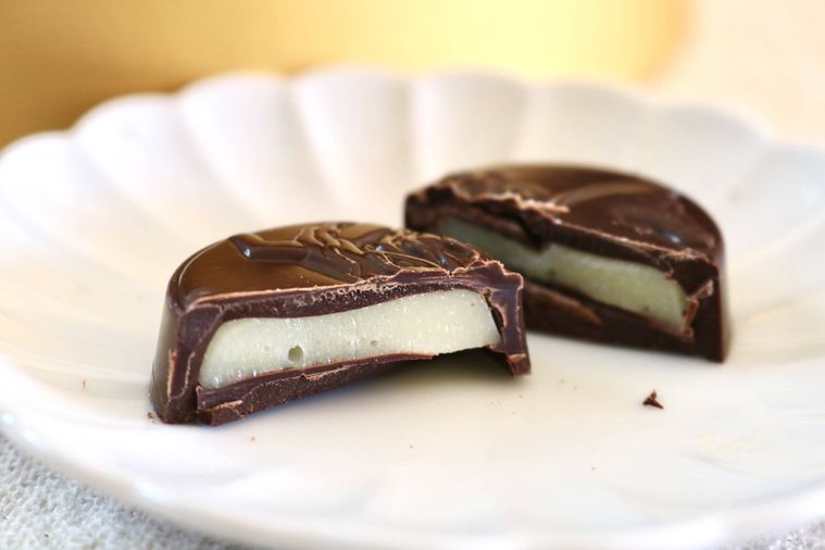 レディ ノアの断面