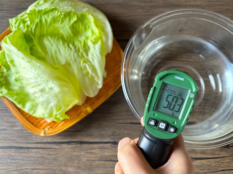しなびたレタス、ボウルに入った湯、温度計