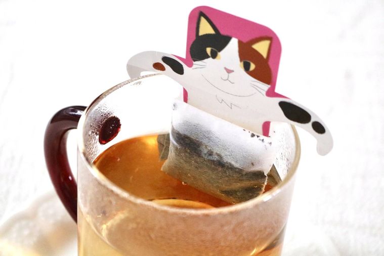 マグカップにのせているニャンティ