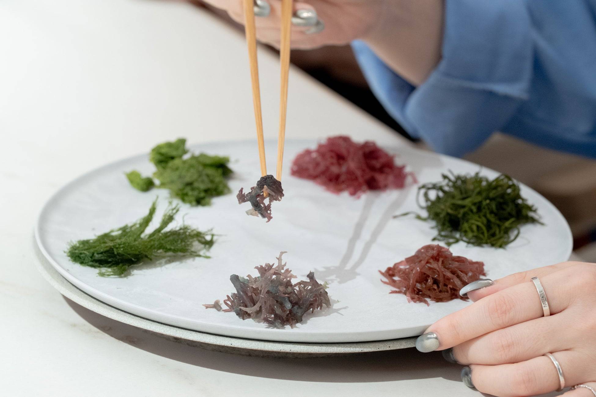 海藻の魅力を体験！八重洲で「SEAVEGE- Kitchen Lab」2026年3月始動