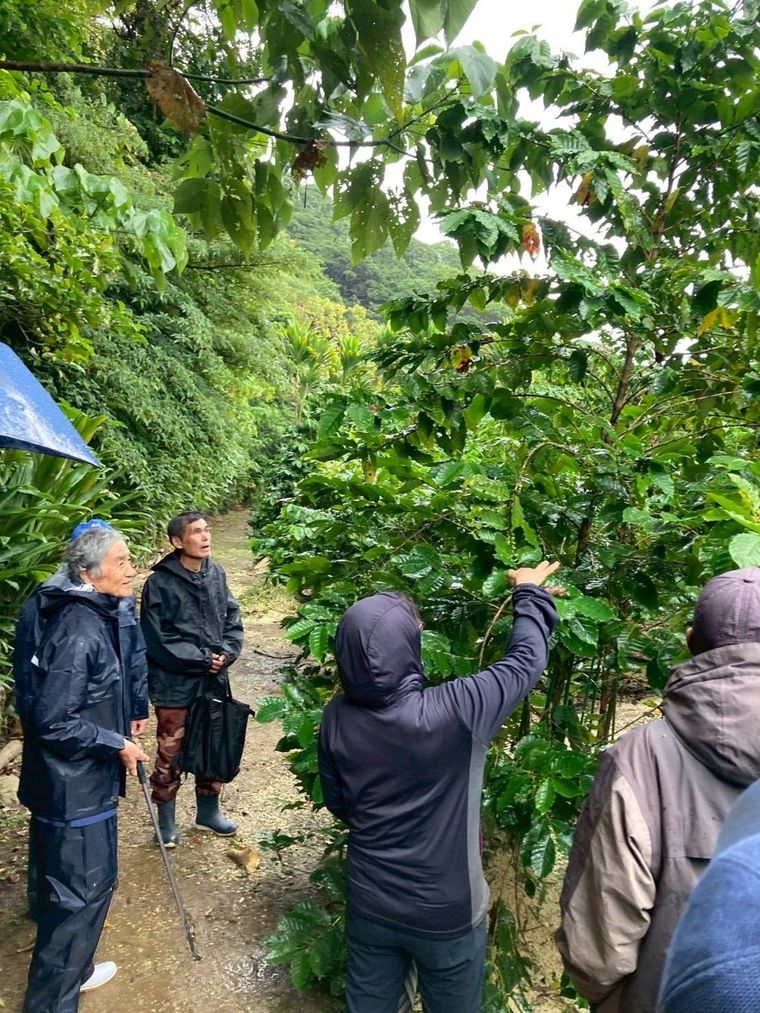 剪定に関する意見交換を行なっている様子