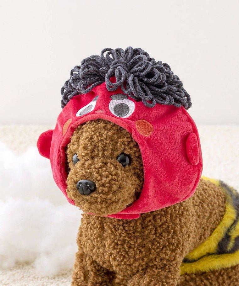 スリーコインズのペット用鬼のかぶりものを付けた犬のぬいぐるみ