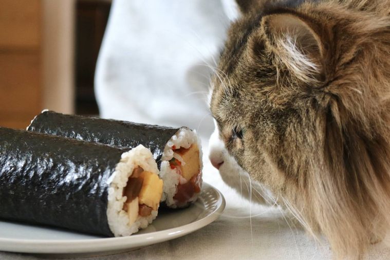 猫と恵方巻