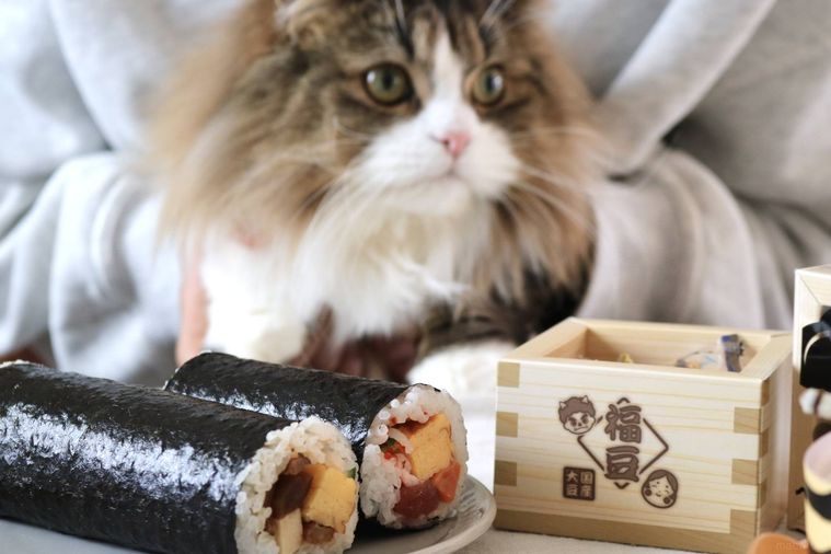 恵方巻と猫