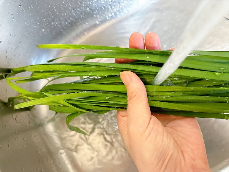 ニラを洗う様子
