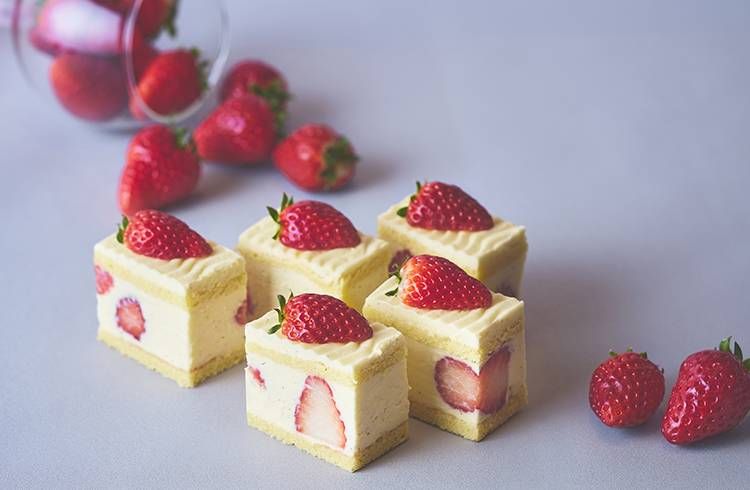 ストロベリーにメロメロ Strawberry Addictのフレジエ