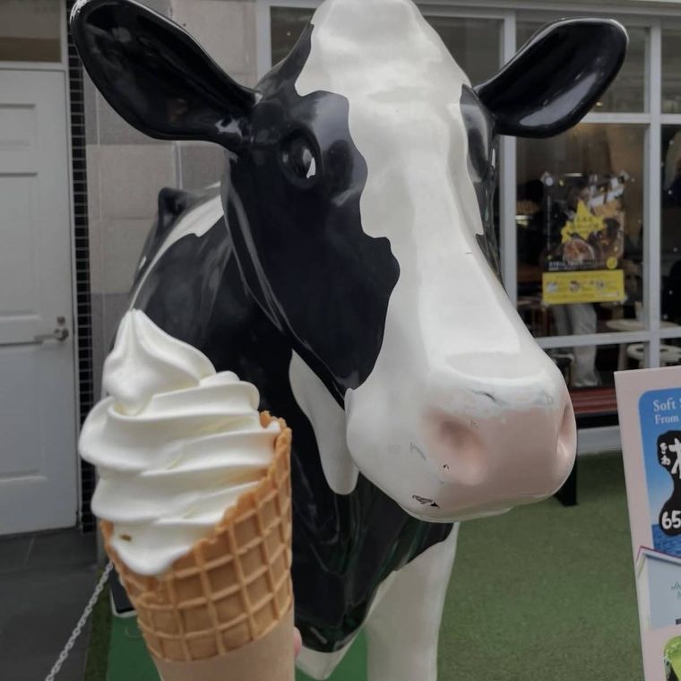 牛のオブジェと北海道ソフトクリーム