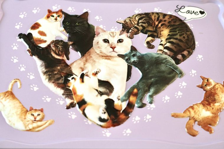 にゃそーてっどチョコレートの缶