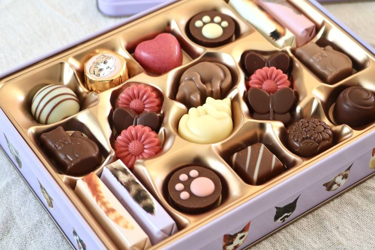 ミルクやホワイト、ストローベリーや紅茶など16種のチョコレート