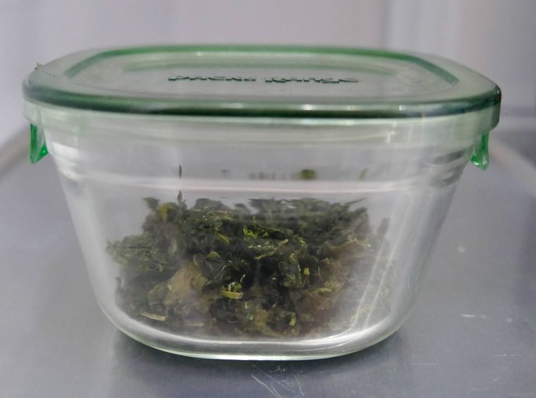 茶殻を保存容器に入れて冷蔵する様子