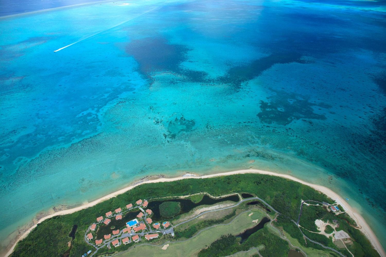 開催概要と施設情報