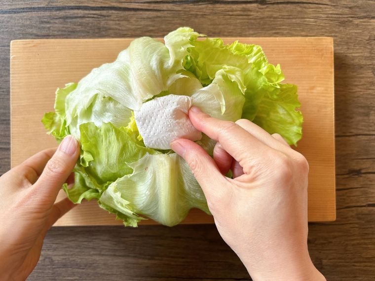 レタスの芯をくり抜いて湿らせたキッチンペーパーを詰める様子