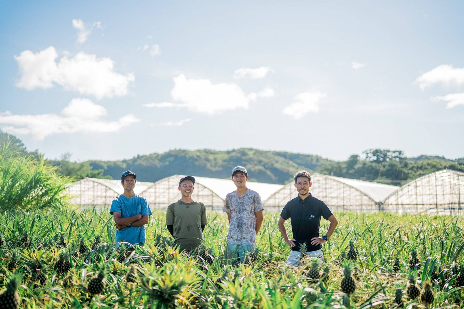西表島ホテルの取り組みとSDGsへの貢献