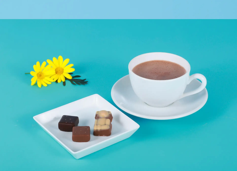 ムニュ プランタニエ ショコラ