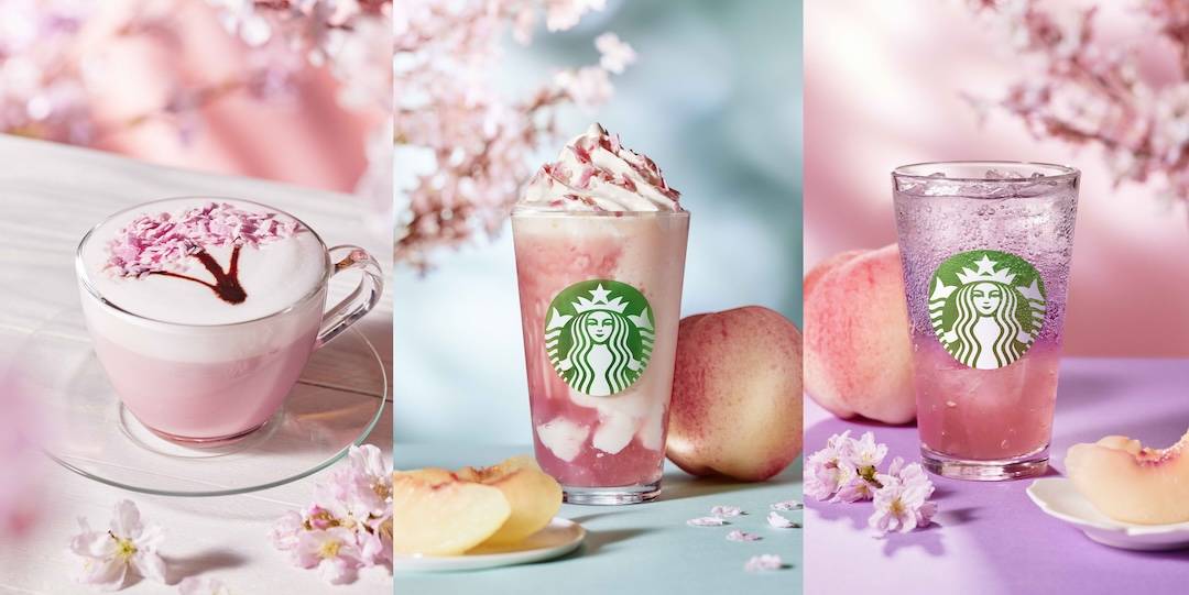 2026年「人気カフェチェーンのさくらフェア」5選！スタバやドトール