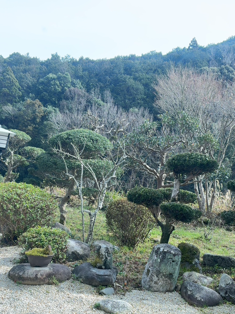 店からの風景
