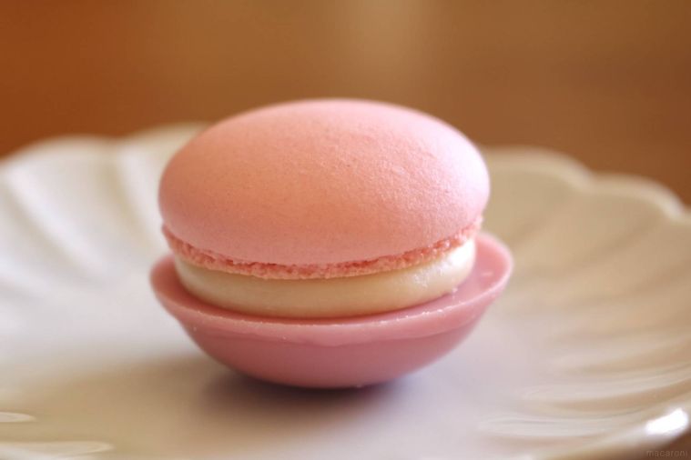 桜ホワイトチョコレート