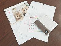 セリアで売られているカレンダーを紹介売り切れ時の対応方法も