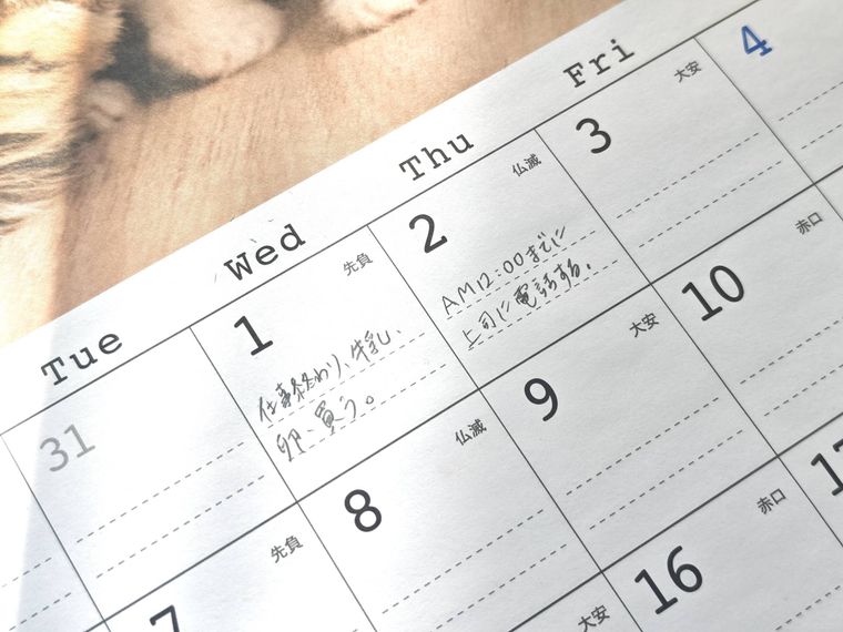 カレンダー 2026 A3 4月始まり ネコ写真を使っている様子